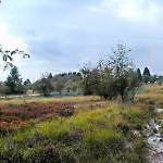 La Porte Des Fagnes *