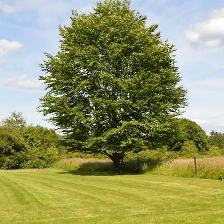 Prázdninový dům La Porte Des Fagnes